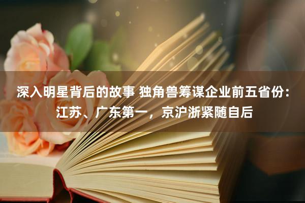 深入明星背后的故事 独角兽筹谋企业前五省份： 江苏、广东第一，京沪浙紧随自后