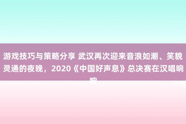 游戏技巧与策略分享 武汉再次迎来音浪如潮、笑貌灵通的夜晚，2020《中国好声息》总决赛在汉唱响