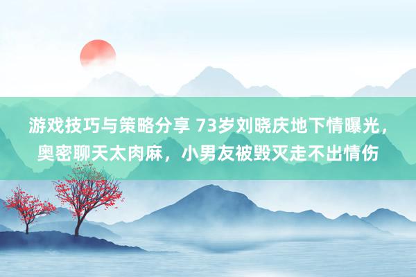 游戏技巧与策略分享 73岁刘晓庆地下情曝光，奥密聊天太肉麻，小男友被毁灭走不出情伤