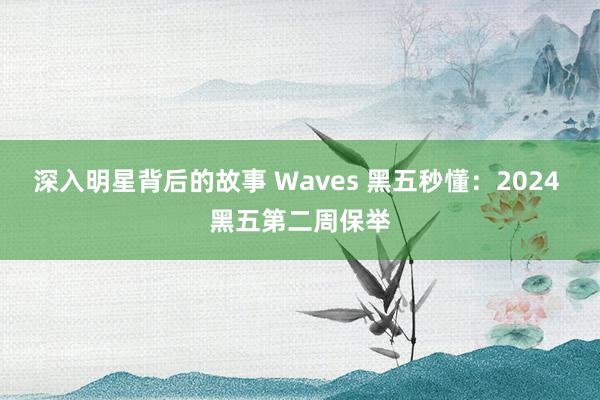 深入明星背后的故事 Waves 黑五秒懂：2024 黑五第二周保举