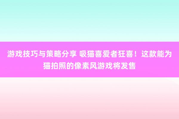 游戏技巧与策略分享 吸猫喜爱者狂喜！这款能为猫拍照的像素风游戏将发售