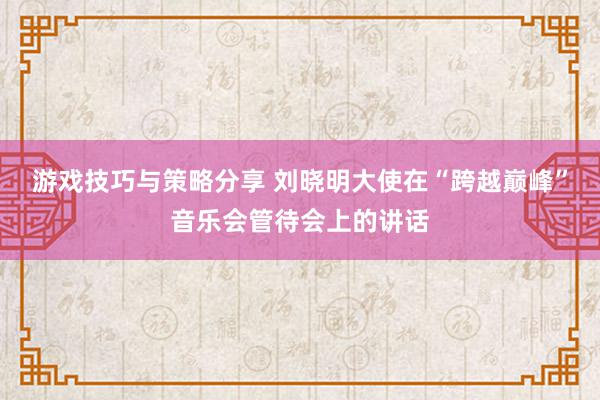 游戏技巧与策略分享 刘晓明大使在“跨越巅峰”音乐会管待会上的讲话