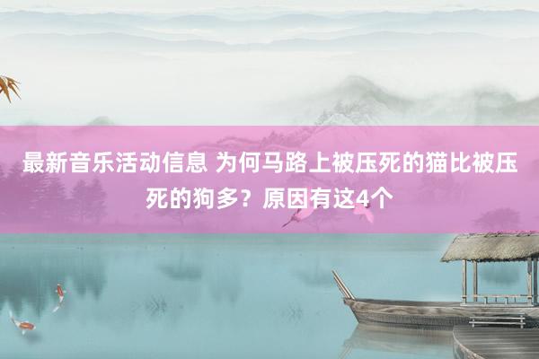 最新音乐活动信息 为何马路上被压死的猫比被压死的狗多？原因有这4个