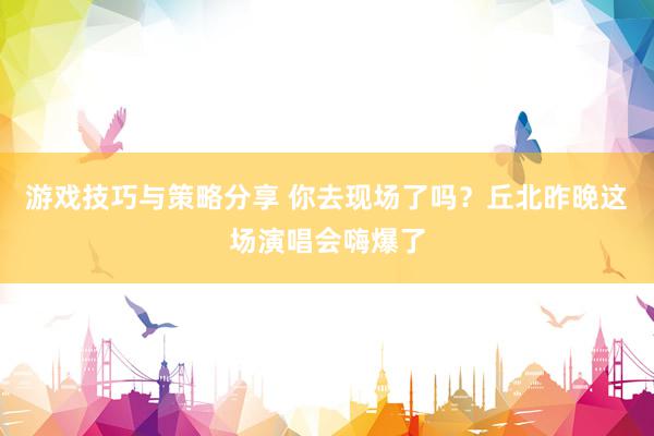 游戏技巧与策略分享 你去现场了吗？丘北昨晚这场演唱会嗨爆了