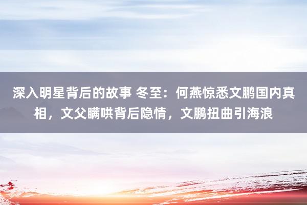 深入明星背后的故事 冬至：何燕惊悉文鹏国内真相，文父瞒哄背后隐情，文鹏扭曲引海浪