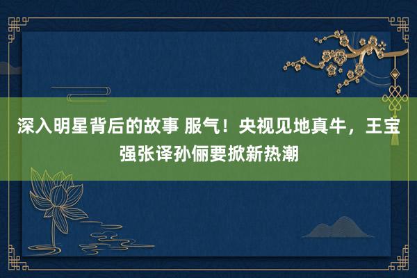 深入明星背后的故事 服气！央视见地真牛，王宝强张译孙俪要掀新热潮