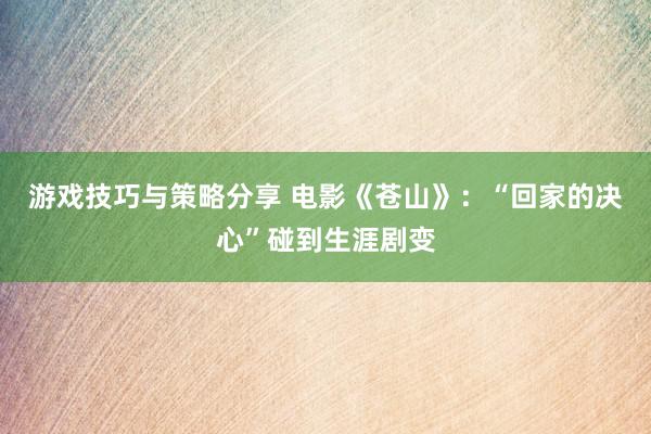 游戏技巧与策略分享 电影《苍山》：“回家的决心”碰到生涯剧变