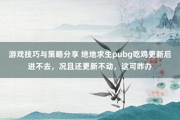 游戏技巧与策略分享 绝地求生pubg吃鸡更新后进不去，况且还更新不动，这可咋办