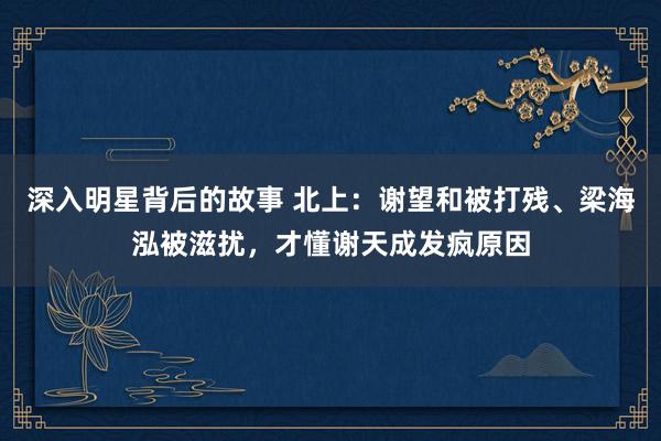 深入明星背后的故事 北上：谢望和被打残、梁海泓被滋扰，才懂谢天成发疯原因