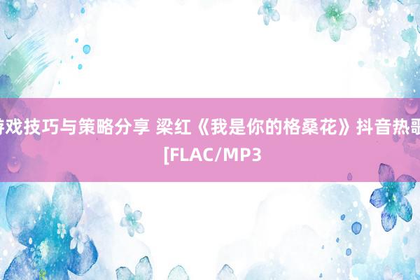 游戏技巧与策略分享 梁红《我是你的格桑花》抖音热歌  [FLAC/MP3